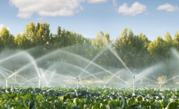 agriculture-wastewater-treatment