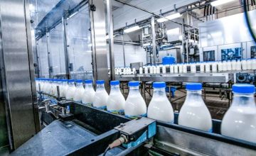 milk-dairy-production-factory-dairy-processing-dairy-industry